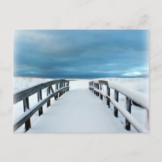 Tropical Winter Postcard (Front)