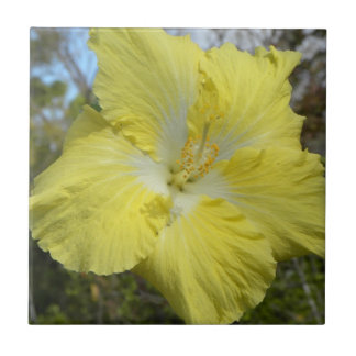 Tropical Yellow Flower Tile Hawaii Floral Flower