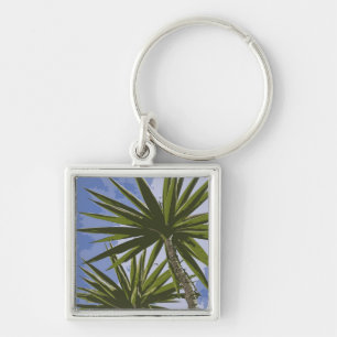 Tropical Yucca Palm Leaves Painting Effect Photo Key Ring