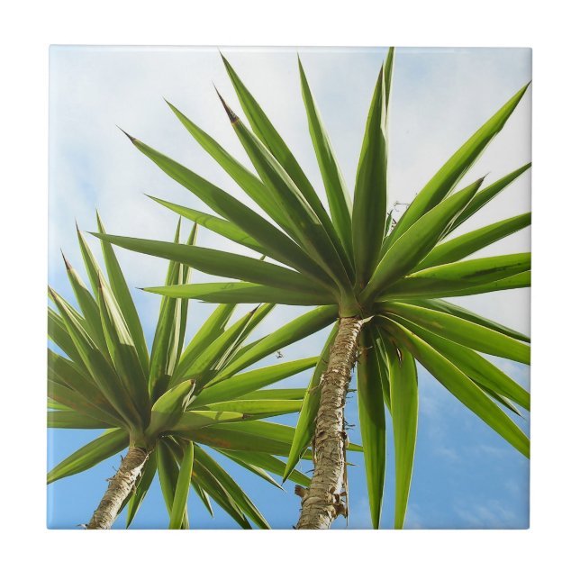 Tropical Yucca Palm Leaves Painting Effect Photo Tile (Front)