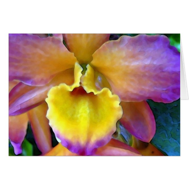 Tropicana Orchid (Front Horizontal)