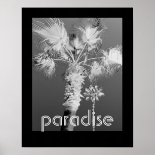 tropics poster black and white photograph