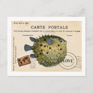 Tropival Vintage Fish Love Postcard