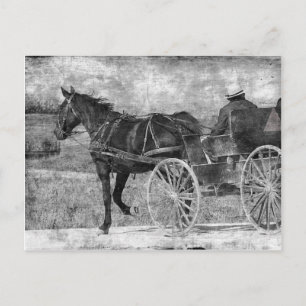 Trot Away Amish Horse in Black and White Postcard
