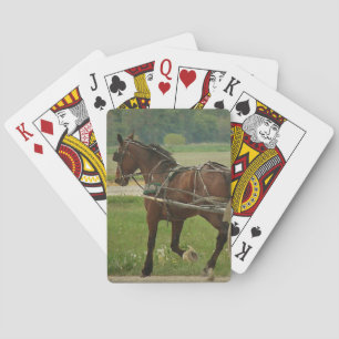 Trot On Home Playing Cards