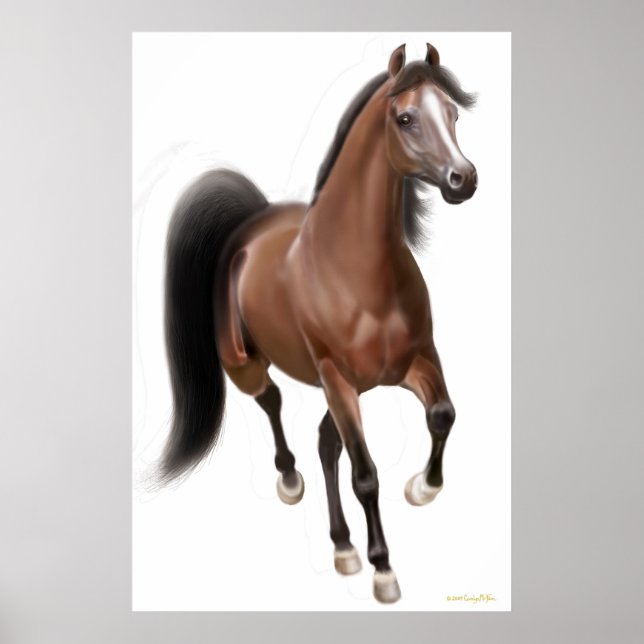 Trotting Bay Horse Poster (Front)