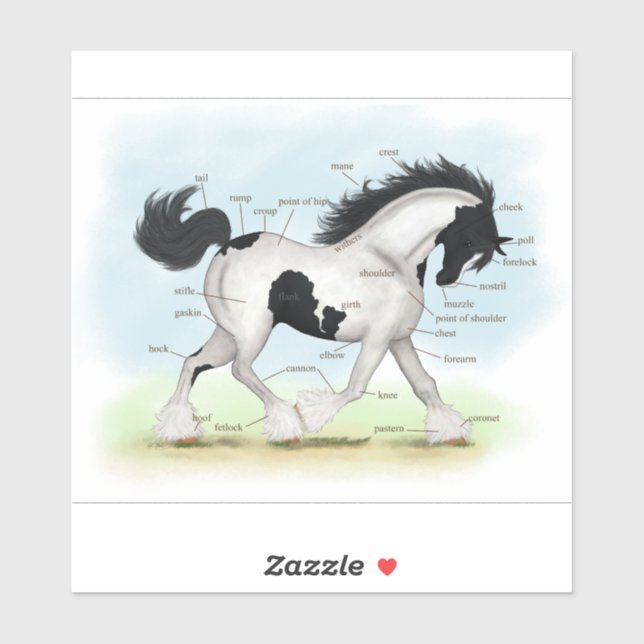 Trotting Black and White Gypsy Horse Anatomy Chart (Sheet)
