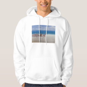Trotting Races Lancieux Brittany 2014 Hoodie
