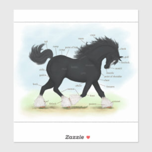 Trotting Shire Horse Equestrian Anatomy Chart