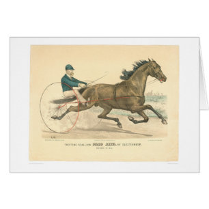 Trotting stallion Palo Alto by Electioneer (1791A)