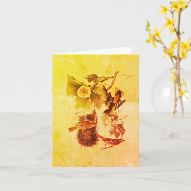 Troupial Oriole Audubon Birds Art Note Card (Yellow Flower)