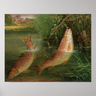 Trout at Winchester Poster