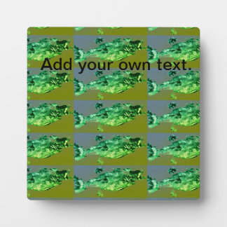 Trout, bass, and crappie three fish favourites pla plaque
