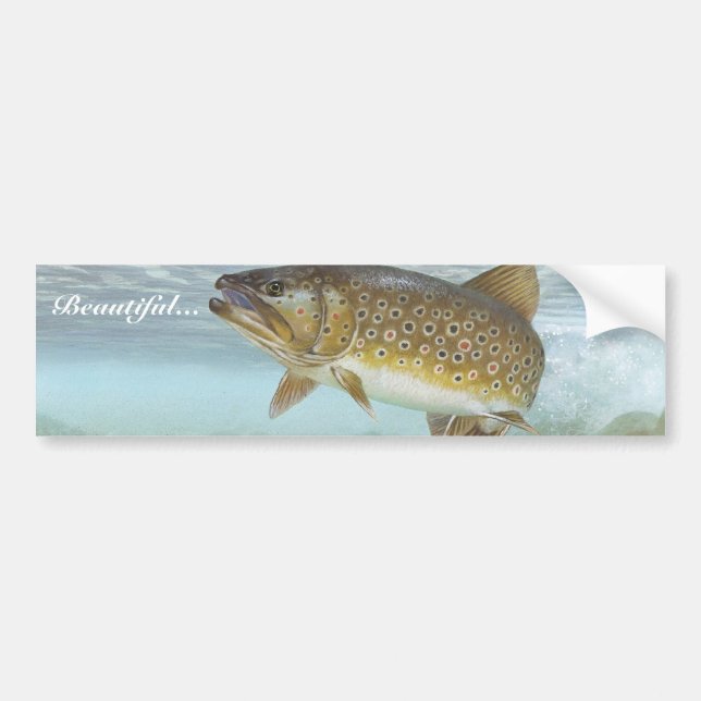 Trout, brook bumper sticker (Front)
