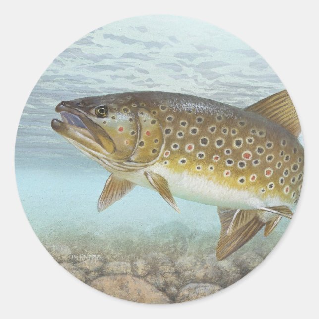Trout, brook classic round sticker (Front)