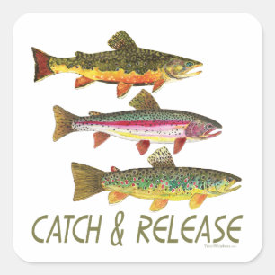 Trout Catch and Release Square Sticker