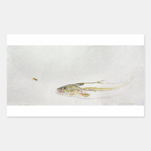 Trout chasing a fisherman's fly rectangular sticker
