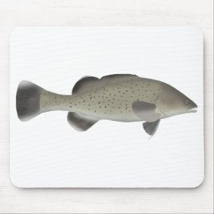 Trout Cod Mouse Pad