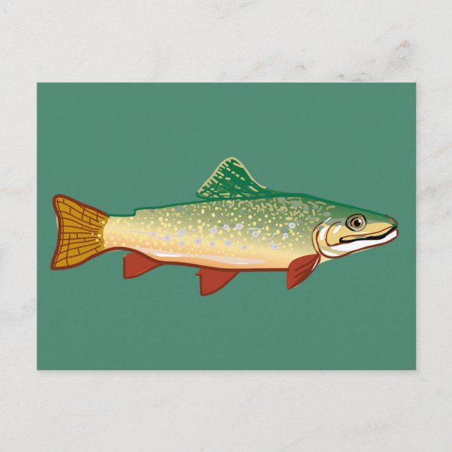 Trout fish art illustration postcard (Front)