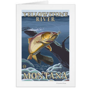 Trout Fishing Cross-Section 5