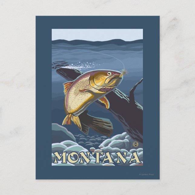 Trout Fishing Cross-Section - Montana Postcard (Front)