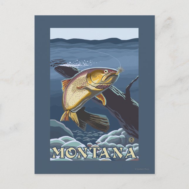 Trout Fishing Cross-Section - Montana Postcard (Front)