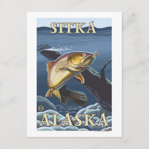 Trout Fishing Cross-Section - Sitka, Alaska Postcard