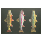 Trout Fishing
