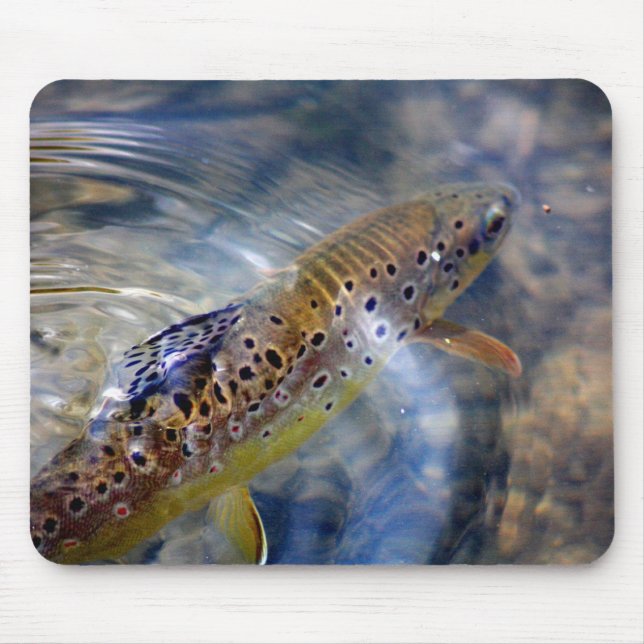 Trout - Fishing Mousemat (Front)