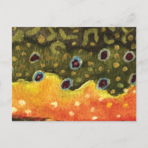 Trout Fly Fishing Postcard