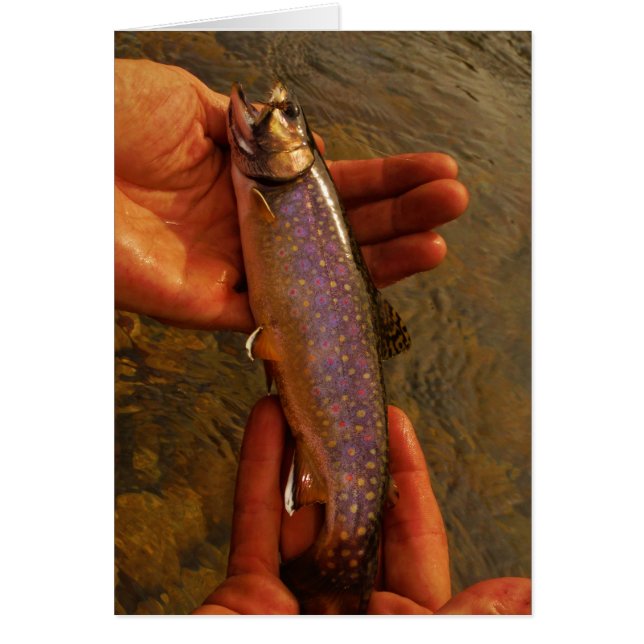 Trout in Hands (Front)