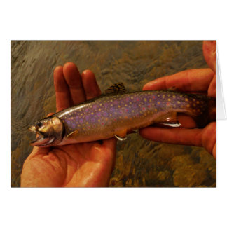 Trout in Hands