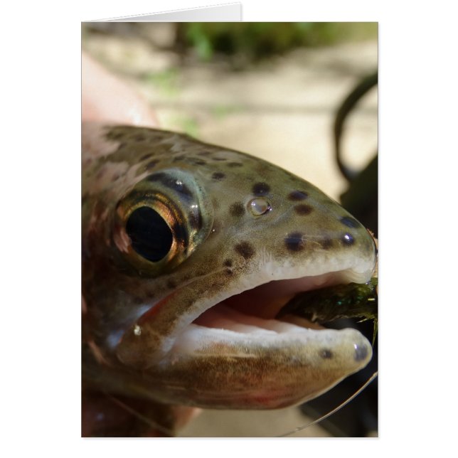 Trout in Hands (Front)
