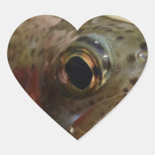 Trout in Hands Heart Sticker