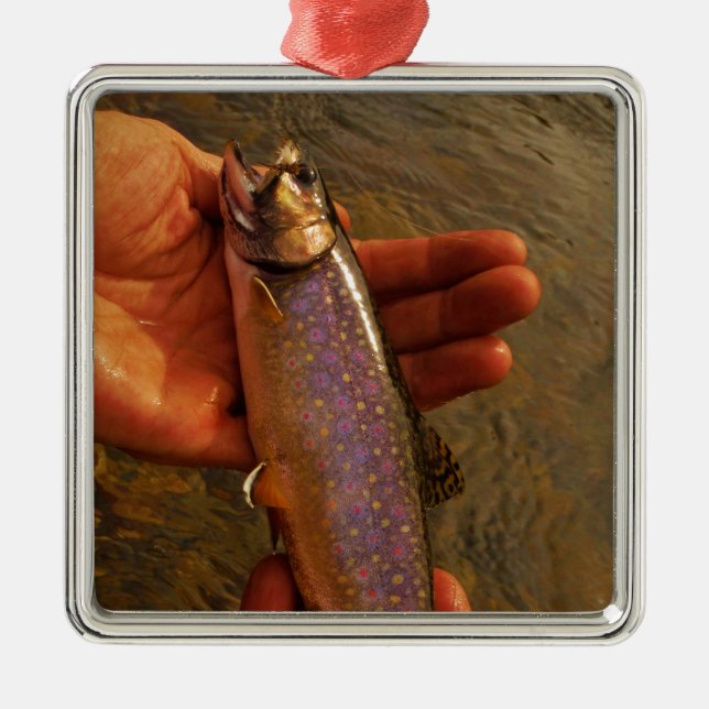 Trout in Hands Metal Tree Decoration (Front)