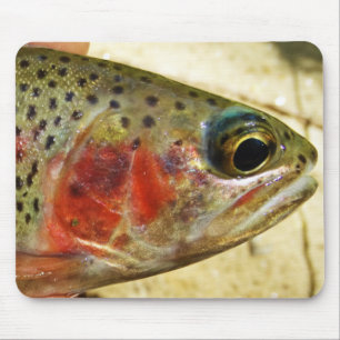Trout in Hands Mouse Pad
