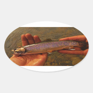 Trout in Hands Oval Sticker