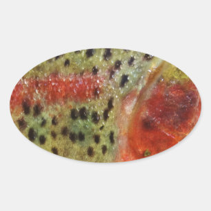 Trout in Hands Oval Sticker