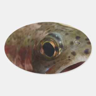 Trout in Hands Oval Sticker