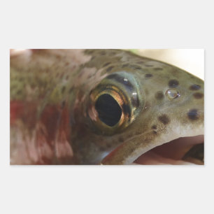 Trout in Hands Rectangular Sticker