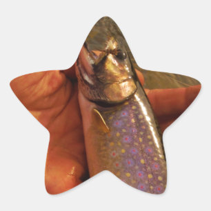 Trout in Hands Star Sticker