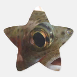 Trout in Hands Star Sticker