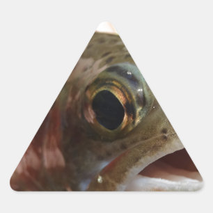 Trout in Hands Triangle Sticker