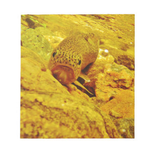 Trout in stream notepad