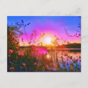 TROUT LAKE SUN POSTCARD