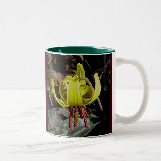 Trout Lily #1 Mug (Right)
