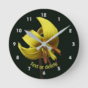 Trout Lily And Firefly Floral Personalised Round Clock