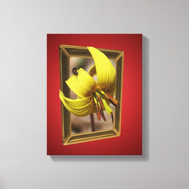 Trout Lily Flower Out Of Bounds Canvas Print (Front)