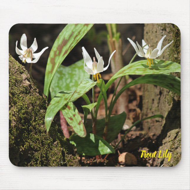 Trout Lily Mouse Pad (Front)