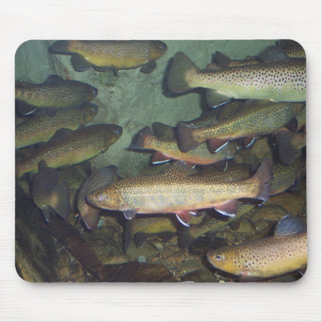 Trout mousepad (Front)